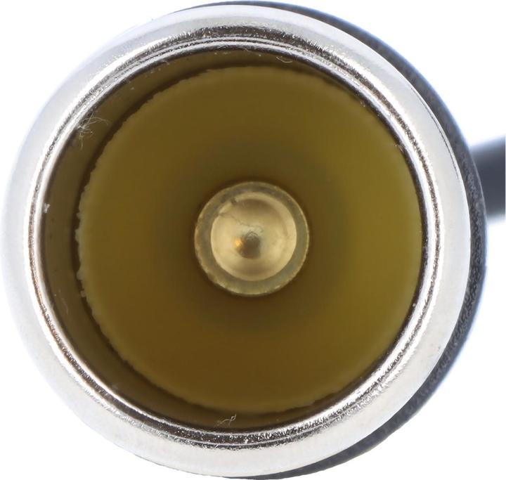 Actual product image AccuCell Spannungswandler 12 Volt Kühlboxen, 100-240V AC auf 12V DC mit Zigarettenanzünder