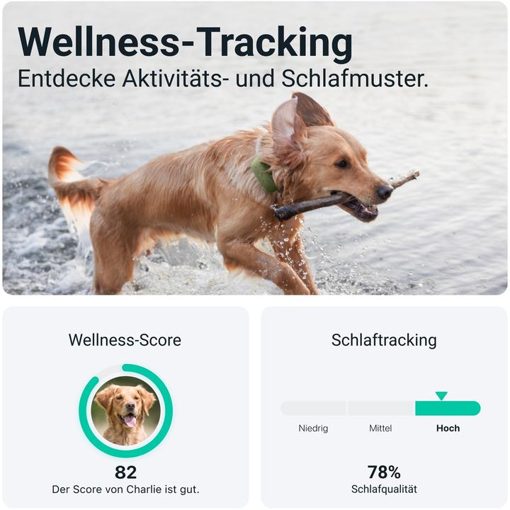 Produktbild Tractive DOG XL GPS Tracker für Hunde (Hund, Allgemein)