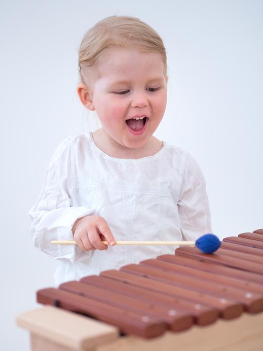 Immagine prodotto Betzold Musik Xilofono contralto (Xilofono)