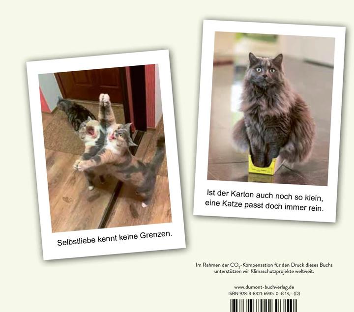 Produktbild Hilfe, meine Katze ist kaputt (Deutsch, 2023)