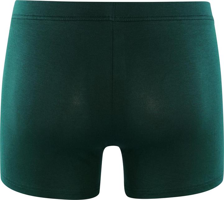 Actual product image HOM HO1 BoxerBrief Tencel Soft (L, Single pack)