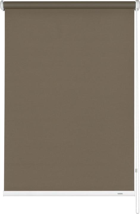 341 Mocca