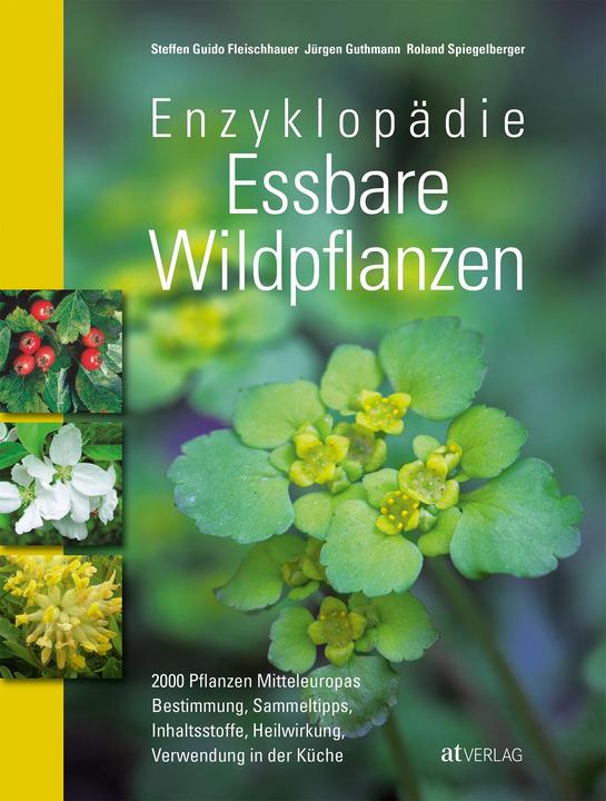 Produktbild Enzyklopädie Essbare Wildpflanzen (Deutsch, Steffen Guido Fleischhauer, 2018)