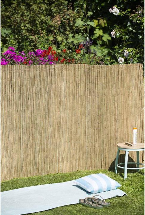 Image du produit Nature Saturnino