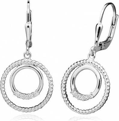 Silver Cat Fashion round earrings with zircons SC390