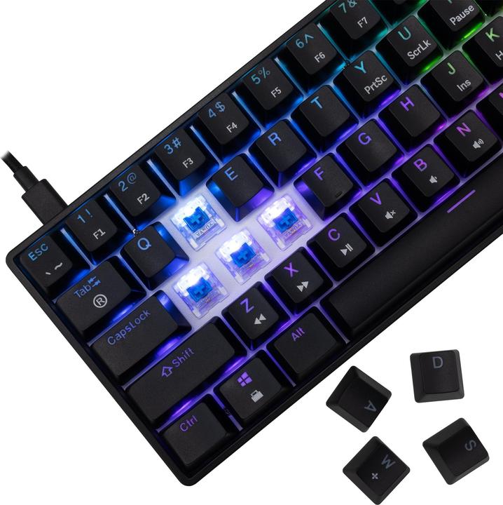 Actual product image White Shark GK-004121 Shinobi-2 Blue Switch, Black US (US, Wireless)