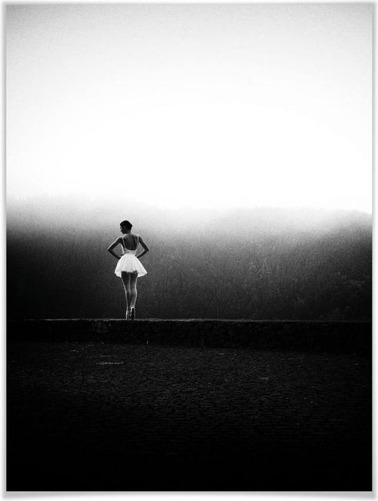 Actual product image Trenddeko The dancer (50 x 60 cm)