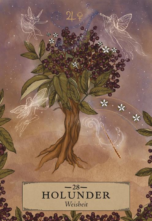Produktbild Herbal Astrology Orakel: 55 Karten mit Botschaften und Anleitungen (Deutsch, Adriana Ayales, Joséphine Klerks, 2023)