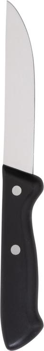 Actual product image WMF Preparation knife CLASSIC LINE 25cm (12 cm)