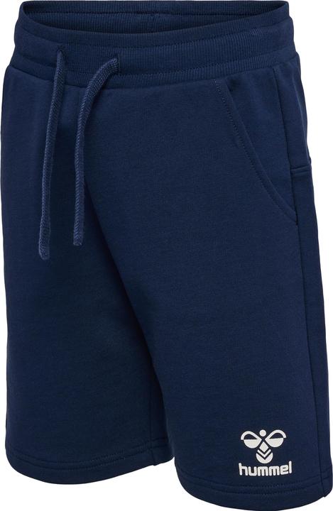 Actual product image hummel Hmlflow Shorts (152)