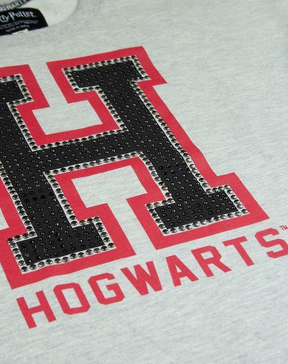 Actual product image Alumni Short Tshirt (M)