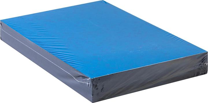 Image du produit Erola Couverture de reliure en presspahn A4, 350 g/m², 100 pièces, noir