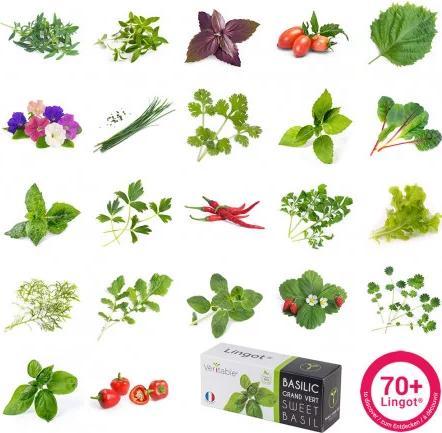 Image du produit Véritable Connect Indoor Garden (18 cm)