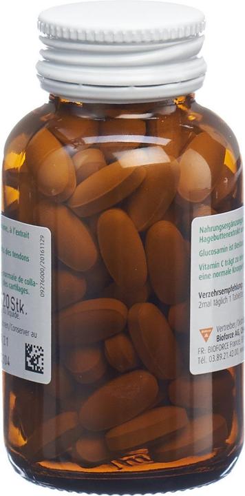 Actual product image A. Vogel Glucosamine Plus (1 Piece, Pills, 280 g)