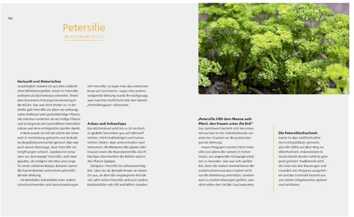 Immagine prodotto 10 Kräuter gegen 100 Krankheiten (Tedesco, Franciska Rubino, Gudrun Strigin, 2021)
