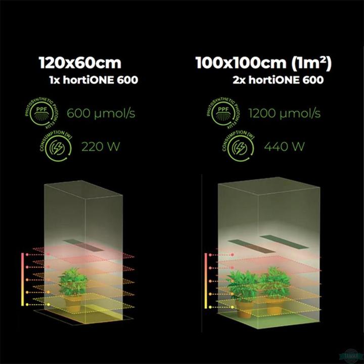 Produktbild HortiOne LED Lampe 600 (LED)