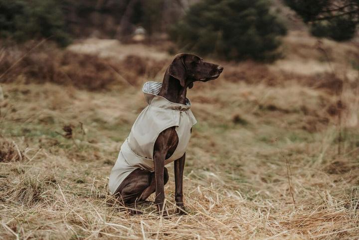 Actual product image Hunter Milford (45, Dog raincoat)