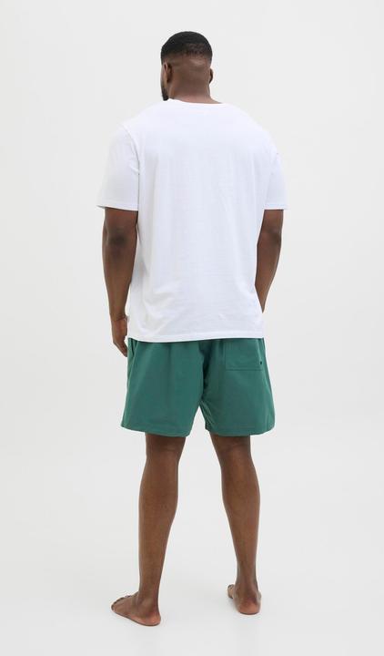 Actual product image Jack & Jones Plus Size Regular Fit Badeshorts Badeshorts (42)