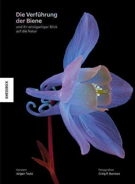Actual product image Die Verführung der Biene (German, Cornelia Panzacchi, Jürgen Tautz, Craig P. Burrows, 2024)