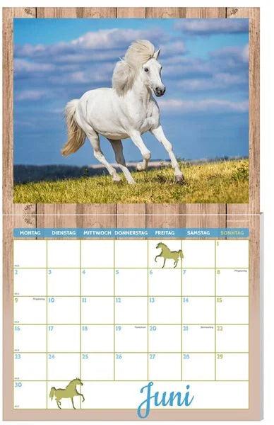 Actual product image Horse calendar pack 2025, 9 pieces (German)
