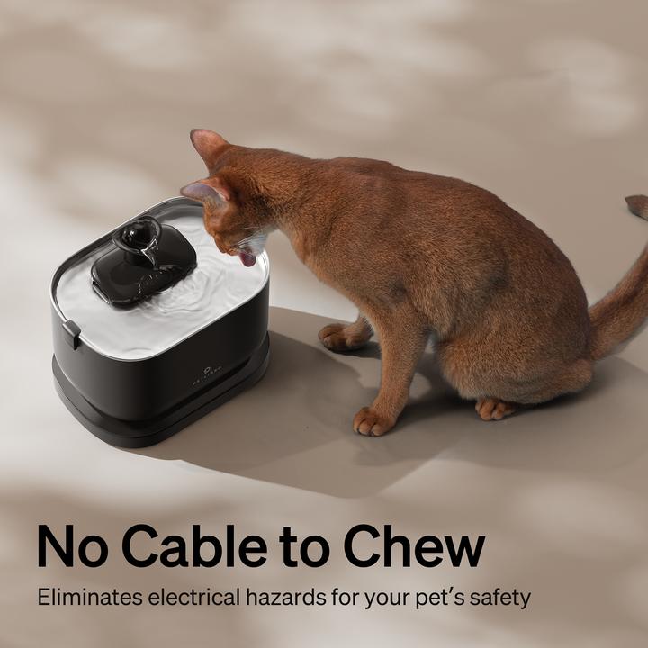 Actual product image Petlibro Dockstream Battery-Operated Water Fountain