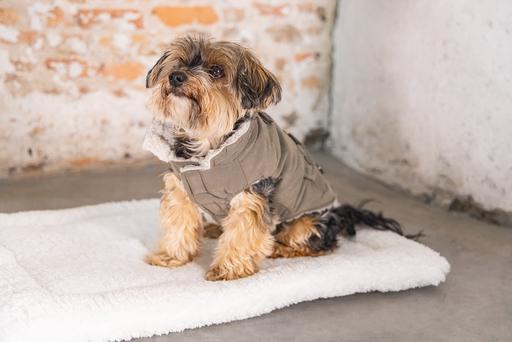 Produktbild Designed by Lotte Hundemantel Philos (XS, Hundemantel)