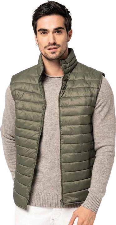 Actual product image Native Spirit Mens Recycled Lightweight Body Warmer (XXL)