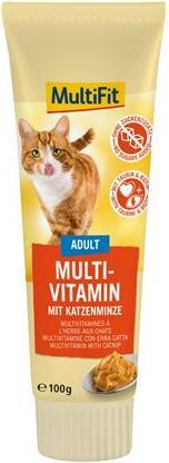 Produktbild MultiFit Multivitamin Paste (100 g)
