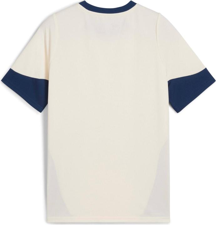 Actual product image Puma FPF Training Jersey Jr (140)