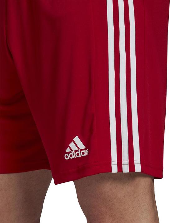 Produktbild adidas Squadra 21 Short (48, 49, 50)