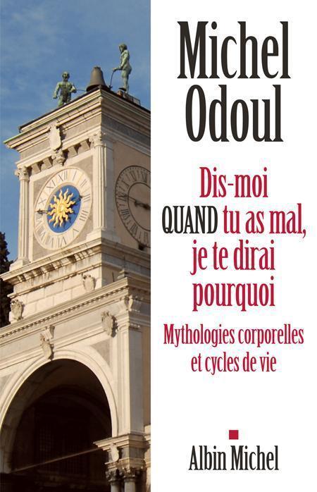 Image du produit Albin Michel Dis-moi quand tu as mal, je te dirai pourquoi (Français, Odoul Michel, 2013)