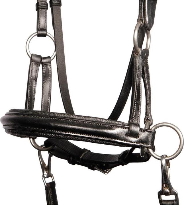 Actual product image Harry's Horse sidepull bitless bridles