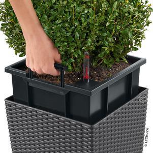 Actual product image Lechuza Cube Cottage (49 cm)