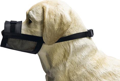 Produktbild Beeztees Maulkorb (XL, Hund, Hundesport)