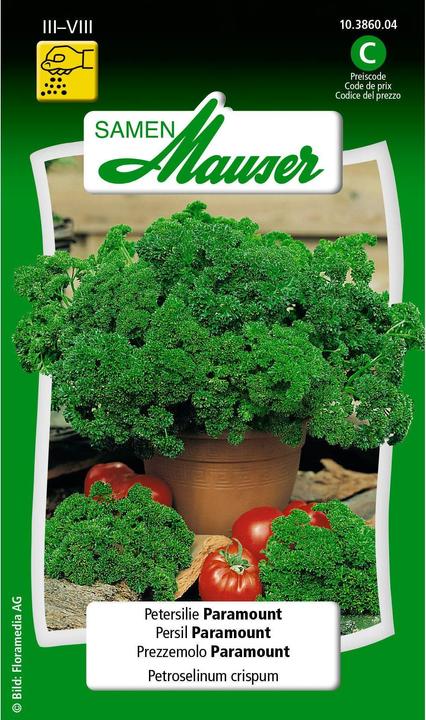 Samen Mauser Persil Paramount (Graines d'herbes aromatiques)