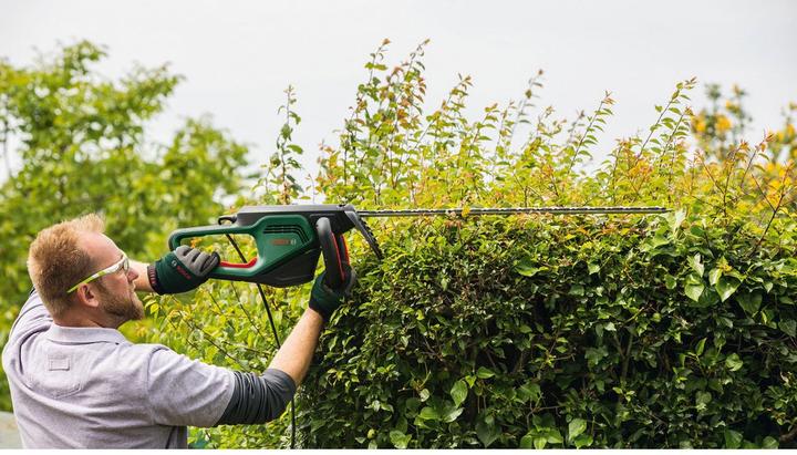 Produktbild Bosch Home & Garden Heckenschere AdvancedHedgeCut 65 (Netzbetrieb)