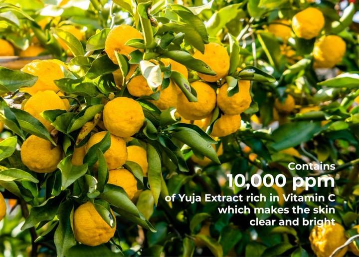 Image du produit JKosmec Pads tonifiants hydratants au yuja et à la vitamine C (Chiffons de nettoyage)