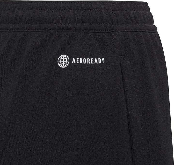 Actual product image adidas Entrada 22 training shorts kids (164)
