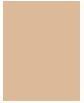 Actual product image Estée Lauder Futurist Aqua Brilliance (2W0 Warm Vanilla)