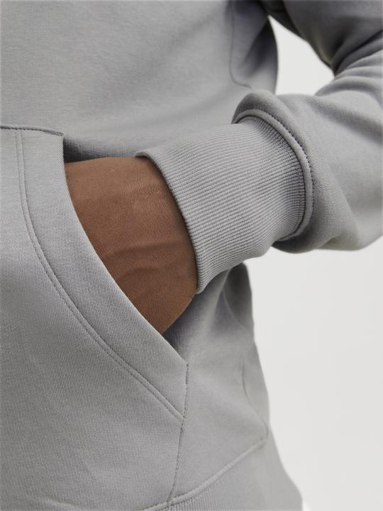 Immagine prodotto Jack & Jones Jjestar Basic Sweat Zip Hood Noos (XL)