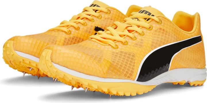 Actual product image Puma evoSPEED Haraka 7 Unisex (37.5)