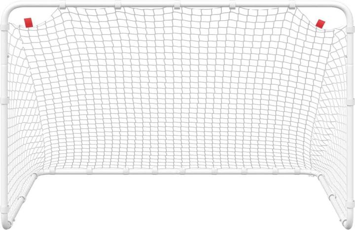 Image du produit VidaXL But de football