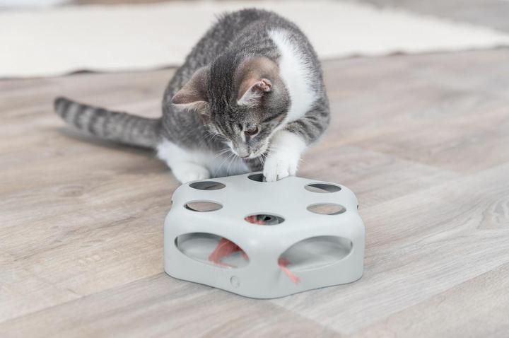 Image du produit Trixie Plume qui tourne (Jouet d'occupation chat)