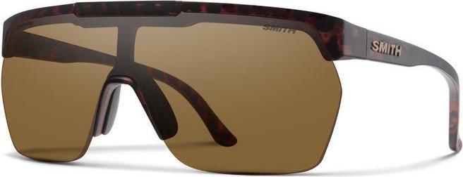 Tortue matte, Brown