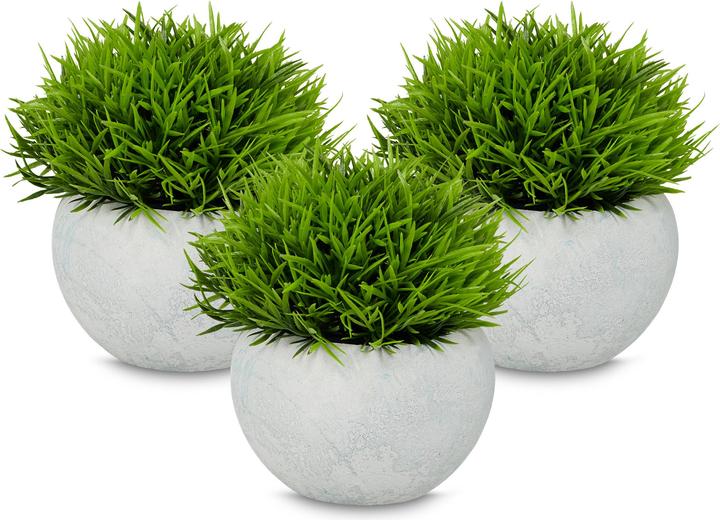 Green, Flower pot: Grey