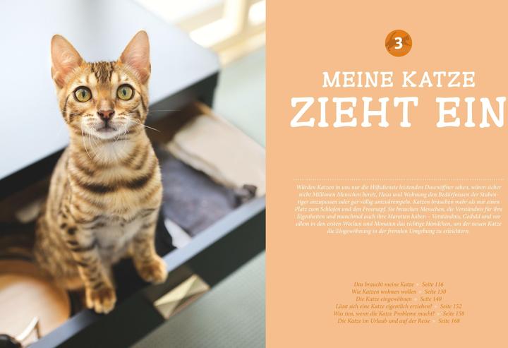 Produktbild Katzen (Deutsch, Gerd Ludwig, 2013)
