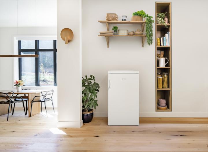 Actual product image Gorenje RB49CPW (120 l)