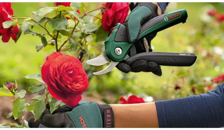 Produktbild Bosch Home & Garden EasyPrune