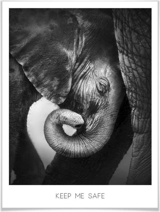 Produktbild Trenddeko Das Elefantenbaby - Keep me safe (100 x 120 cm)