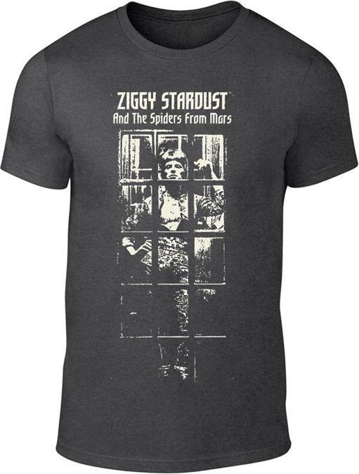 David Bowie Ziggy Stardust Bw TS